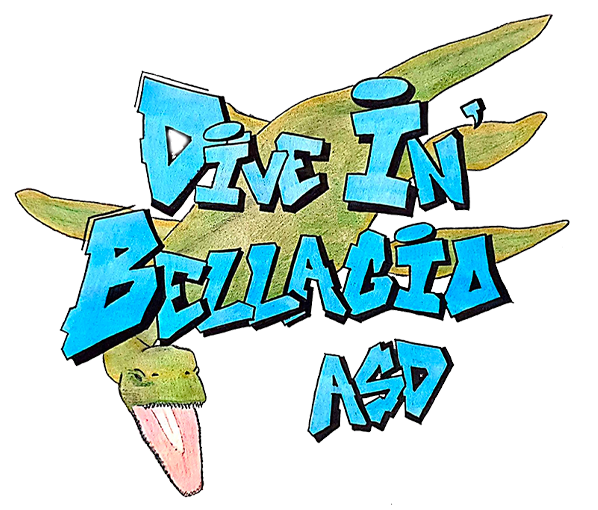 Dive In Bellagio ASD